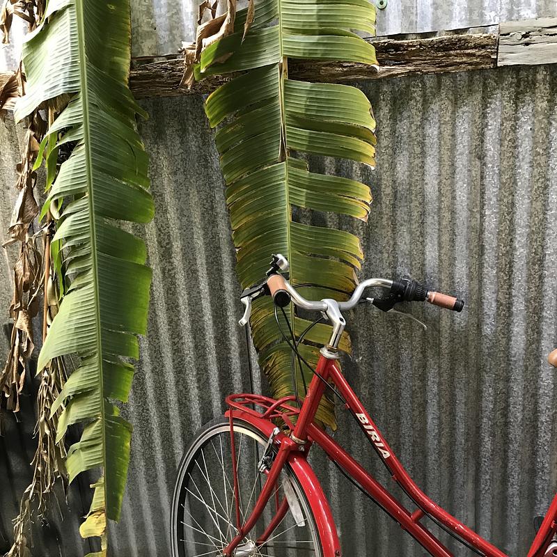 Photo of recovered bike