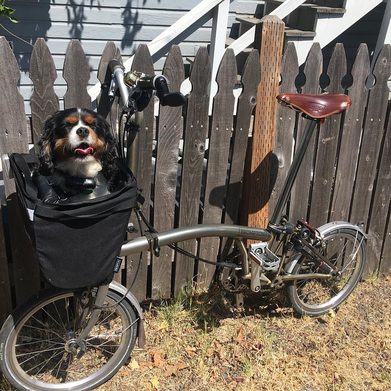 Photo of recovered bike