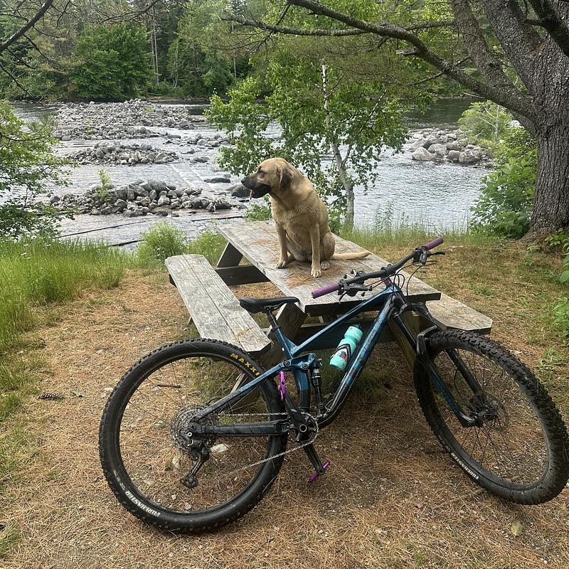 Photo of recovered bike